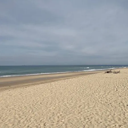 Rez De Jardin 150 Metres De L'ocean Διαμέρισμα